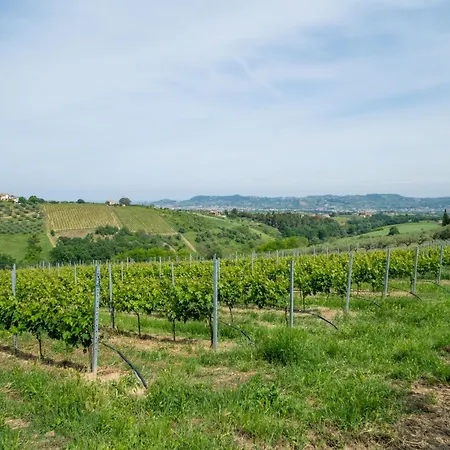 Bilo Giallo By Interhome * Città Sant'Angelo