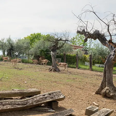 Bilo Giallo By Interhome Apartament