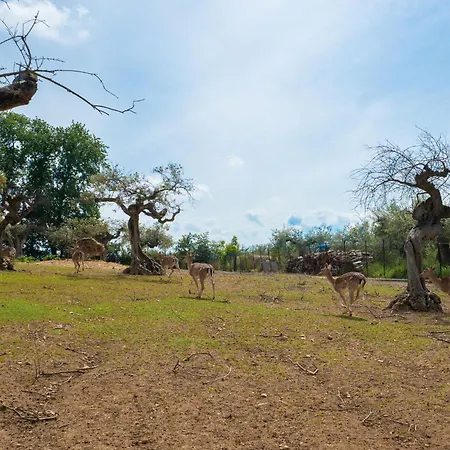 Appartamento Bilo Giallo By Interhome *