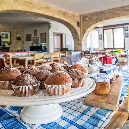 Bilo Giallo By Interhome Citta Sant'Angelo