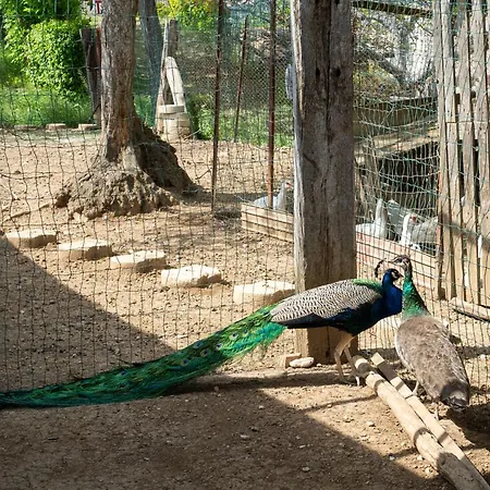 Apartament Bilo Giallo By Interhome *