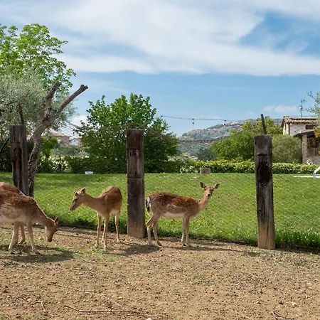 Apartament Bilo Giallo By Interhome Citta Sant'Angelo