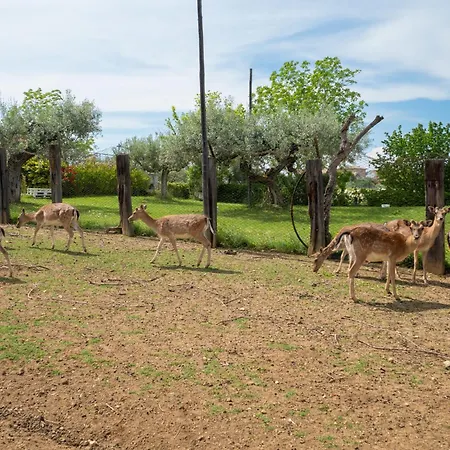 Apartament Bilo Giallo By Interhome *