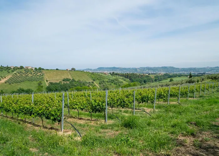 Bilo Giallo By Interhome * Citta' Sant'Angelo