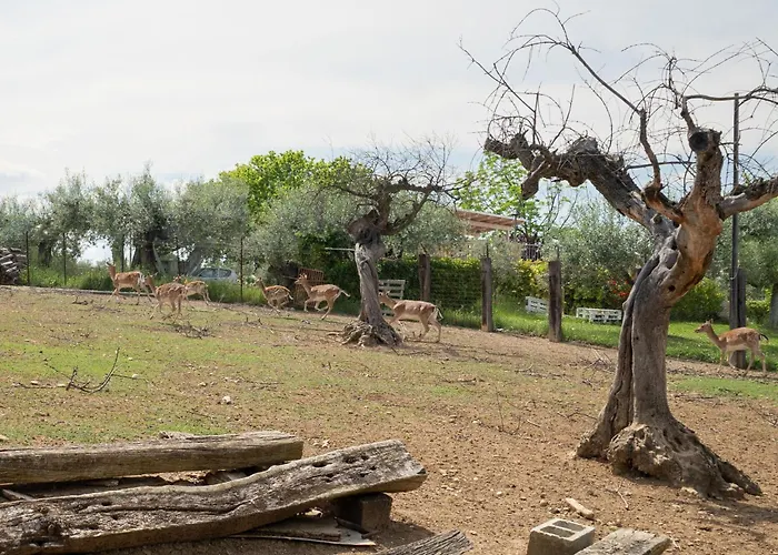 Bilo Giallo By Interhome Διαμέρισμα