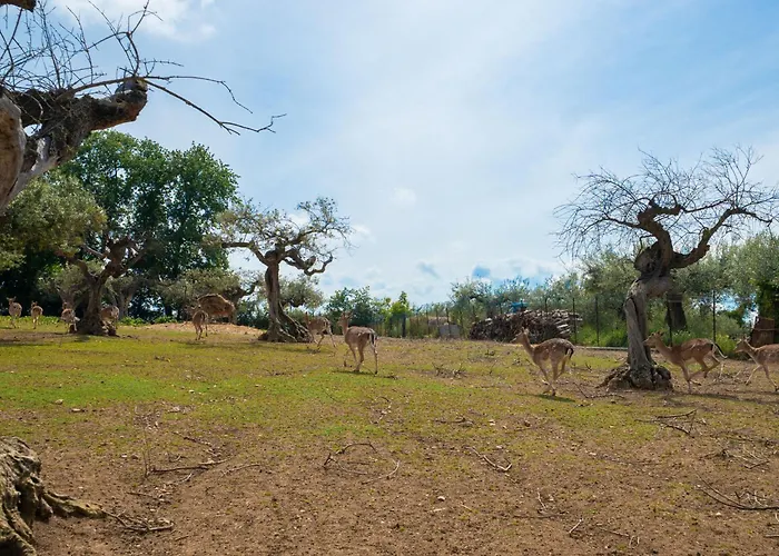 Διαμέρισμα Bilo Giallo By Interhome *