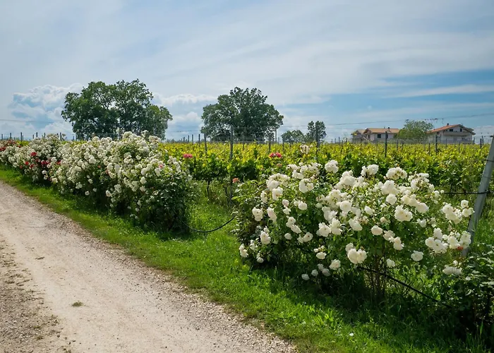 Bilo Giallo By Interhome *