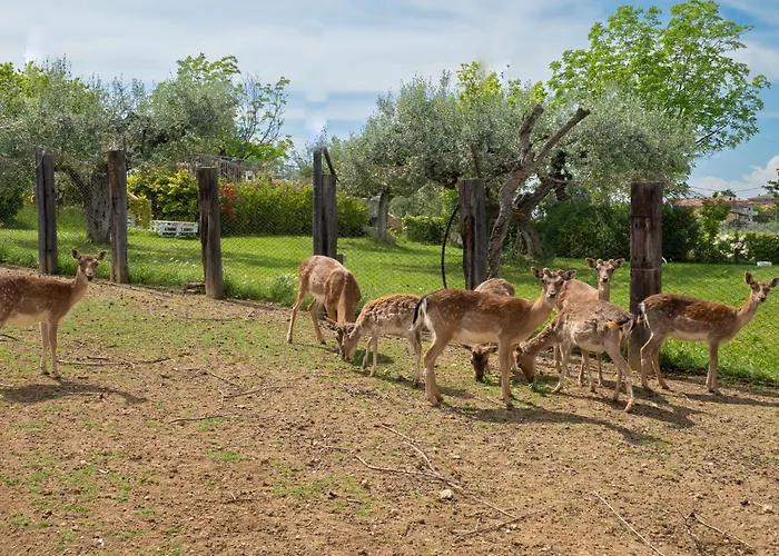 Bilo Giallo By Interhome *