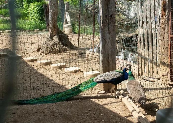 Διαμέρισμα Bilo Giallo By Interhome *