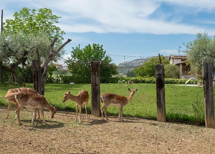 Apartman Bilo Giallo By Interhome Citta' Sant'Angelo