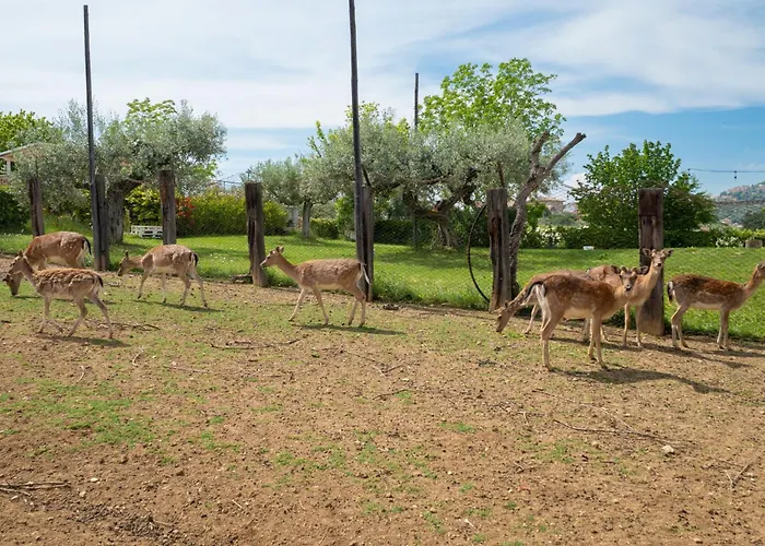 Διαμέρισμα Bilo Giallo By Interhome *